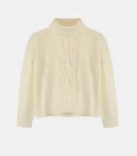 Carregar imagem no visualizador da galeria, Camisola de Gola