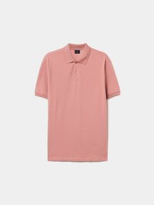 Polo Decenio