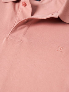 Polo Decenio