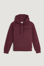 Carregar imagem no visualizador da galeria, Sweatshirt com capuz Tonal Shield
