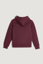 Carregar imagem no visualizador da galeria, Sweatshirt com capuz Tonal Shield
